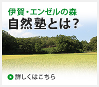 伊賀・エンゼルの森 自然塾とは？