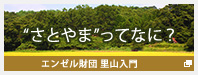 ”さとやま”ってなに？ エンゼル財団　里山入門