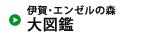 伊賀・エンゼルの森大図鑑