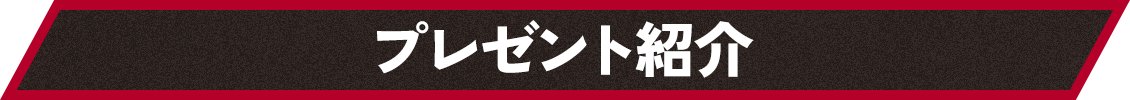 プレゼント紹介