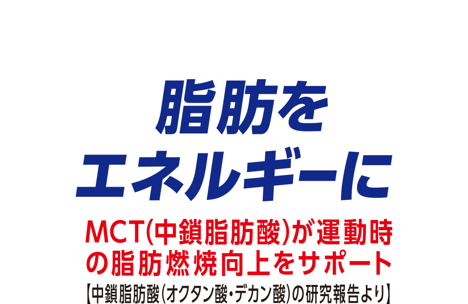 脂肪をエネルギーに