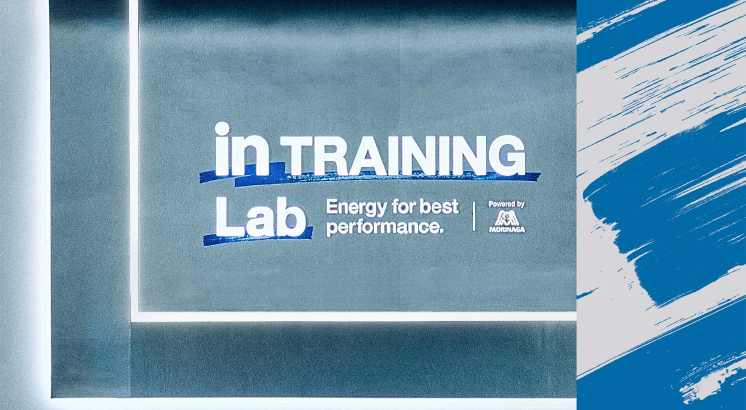 inTRAINING Lab Energy for best performance.