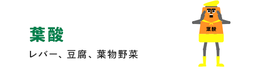 葉酸 レバー、豆腐、葉物野菜