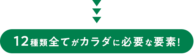 12種類全てがカラダに必要な要素！