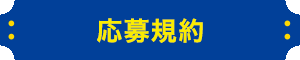 応募注意事項