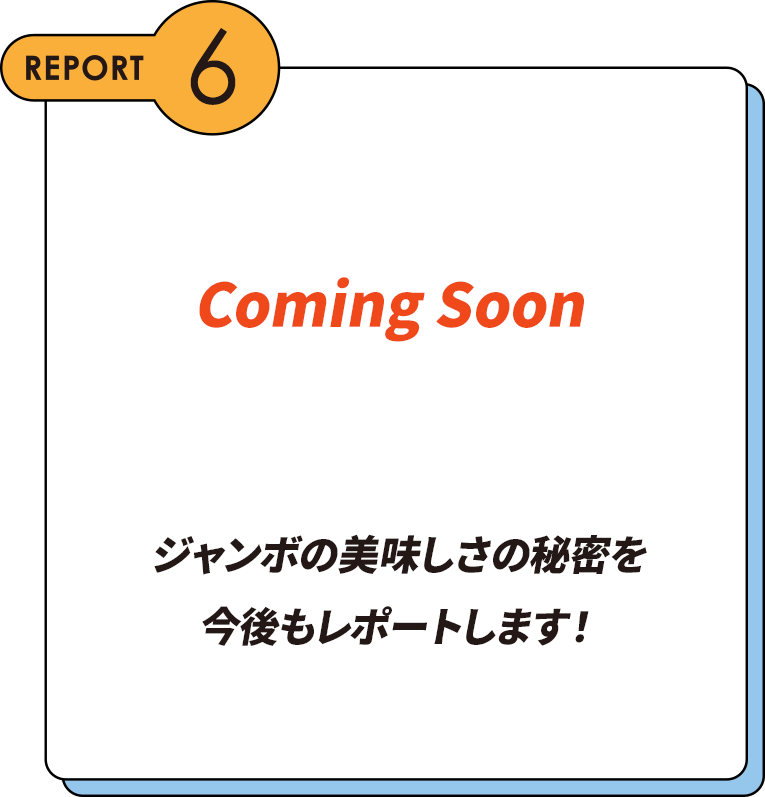 REPORT6 ジャンボの美味しさの秘密を今後もレポートします！