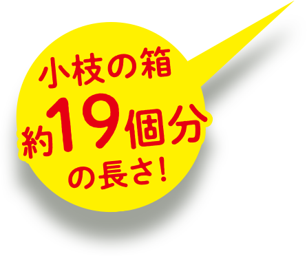 小枝約19個分の長さ！