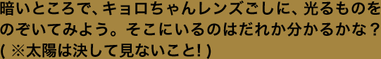 暗いところで、キョロちゃんレンズごしに、光るものをのぞいてみよう。そこにいるのはだれか分かるかな？( ※太陽は決して見ないこと! )