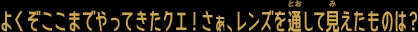 よくぞここまでやってきたクエ！さぁ、レンズを通して見えたものは？