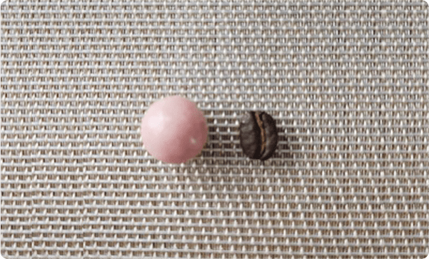 ヒヤヒヤ2択クイズ答え合わせ チョコボール 森永製菓 ヒヤヒヤ2択クイズ答え合わせ チョコボール 森永製菓
