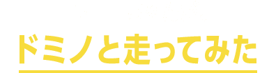 キョロちゃんがドミノと走ってみた