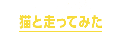 キョロちゃんが猫と走ってみた