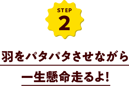 羽をパタパタさせながら一生懸命走るよ!