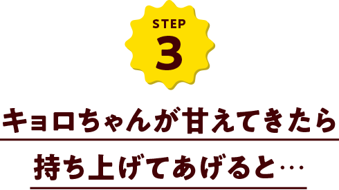 キョロちゃんが甘えてきたら持ち上げてあげると・・・