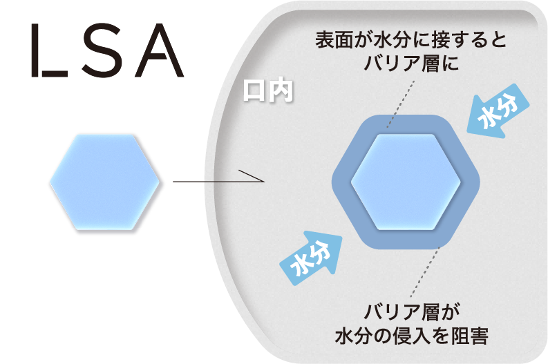 LSA:表面が水分に接するとバリア層に、バリア層が水分の侵入を阻害