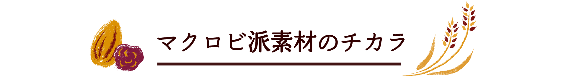 マクロビ派素材のチカラ