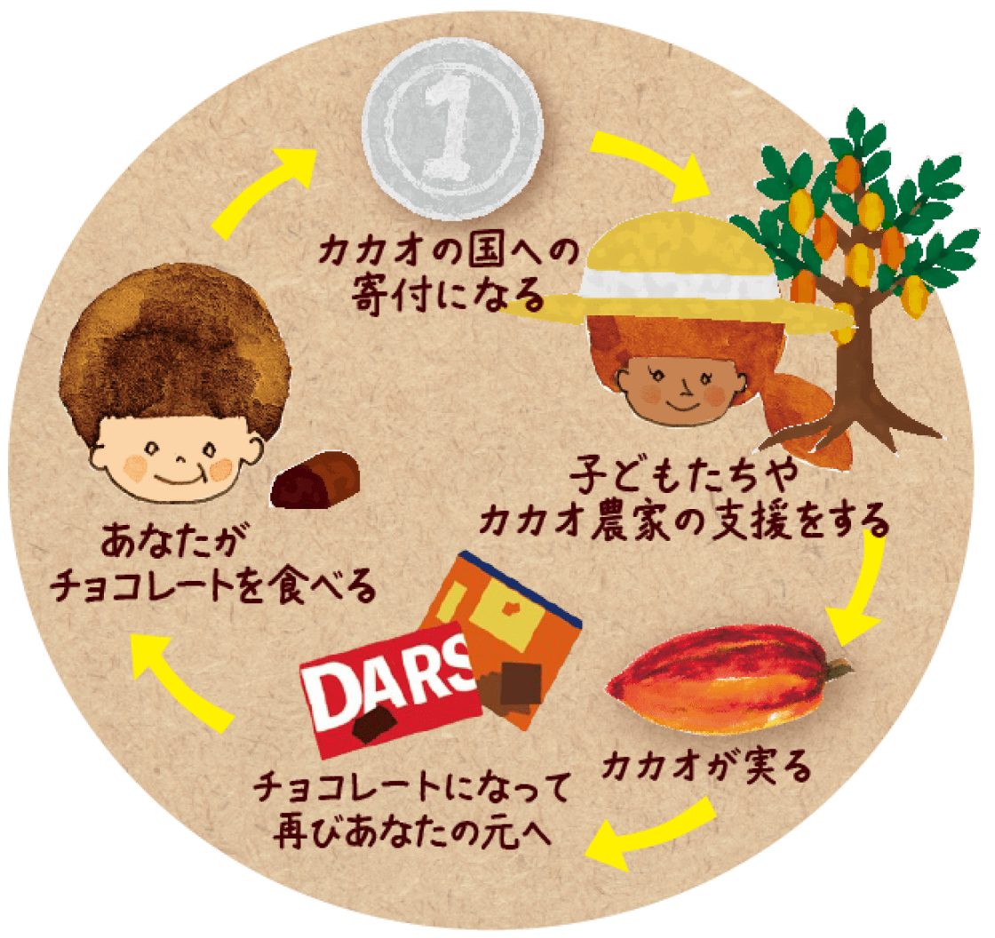 チョコレート購入による支援の流れを説明したイラスト。寄付が農業改善や教育支援につながり、カカオが再びチョコレートになる循環を示す。