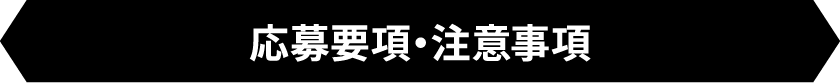 応募要項・注意事項