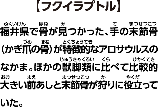 【フクイラプトル】福井県で骨が見つかった、手の末節骨（かぎ爪の骨）が特徴的な獣脚類。ほかの獣脚類に比べて比較的大きい前あしと末節骨が狩りに役立っていた。