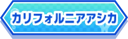 カルフォルニアアシカ