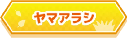 ヤマアラシ