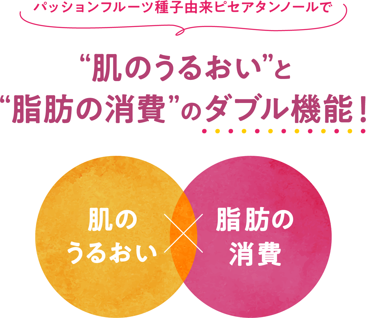 パッションフルーツ種子由来ピセアタンノールで 肌のうるおいと脂肪の消費のダブル機能!