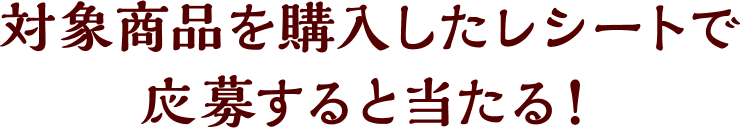 対象商品を購入したレシートで応募すると当たる！