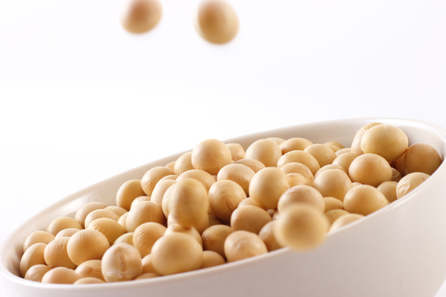 大豆の植物性タンパク質 ソイプロテイン を解説