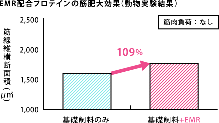 「Eルチン」を摂取するだけで日常的に筋肉が増える！？