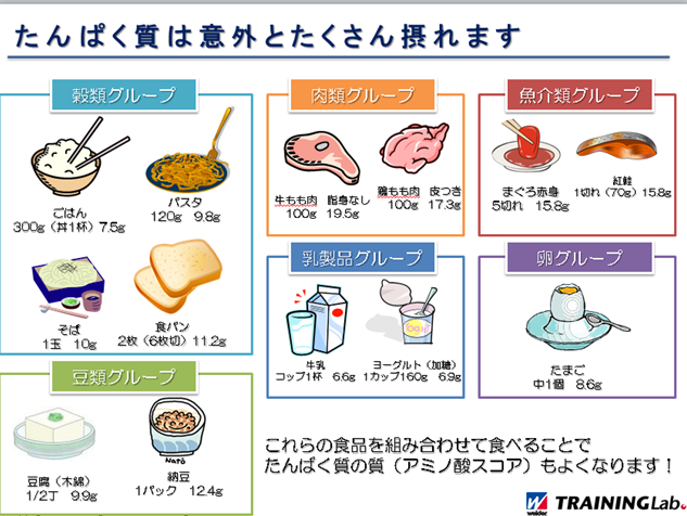 タンパク質 一 日