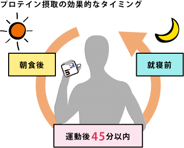 筋 トレ 後 プロテイン