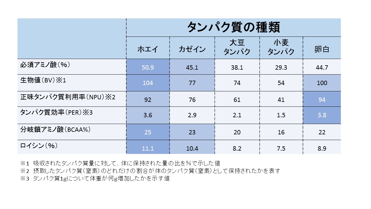 多い プロテイン タンパク質