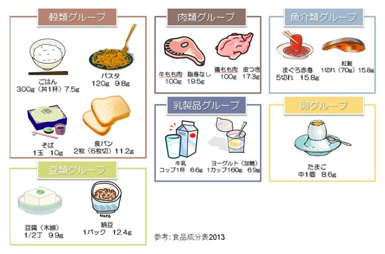 タンパク質 摂取 量 計算