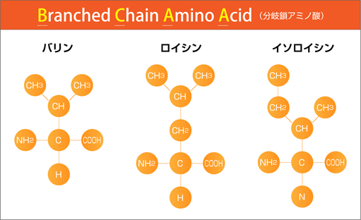 ソース画像を表示