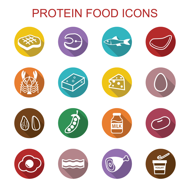 良質なタンパク質とは？良質なタンパク質を含む食材とメニューを紹介