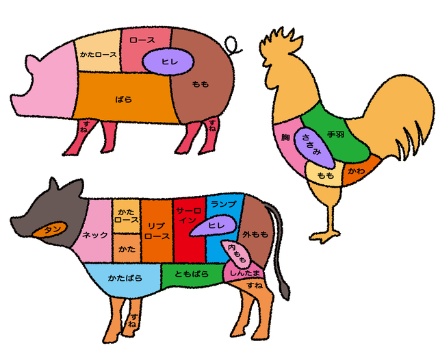 筋トレ お肉 肉を味方につけてカラダづくりに活かすには