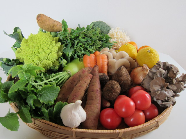 冬野菜特集 冬が旬の野菜とタンパク質を補えるレシピを紹介