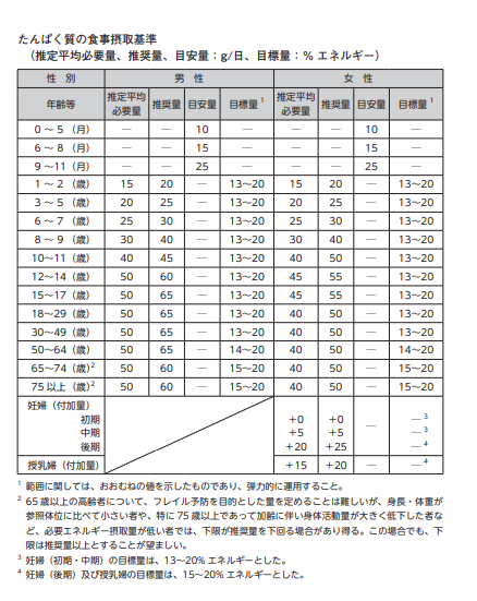 プロテインの摂取量について解説 自分に適した量を把握して摂取