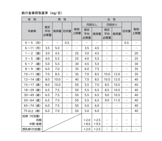 プロテイン 鉄分