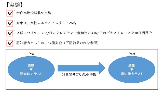 アスリートの運動後の認知能力に対するクレアチン摂取の影響とは アスリートの運動後の認知能力に対するクレアチン摂取の影響とは