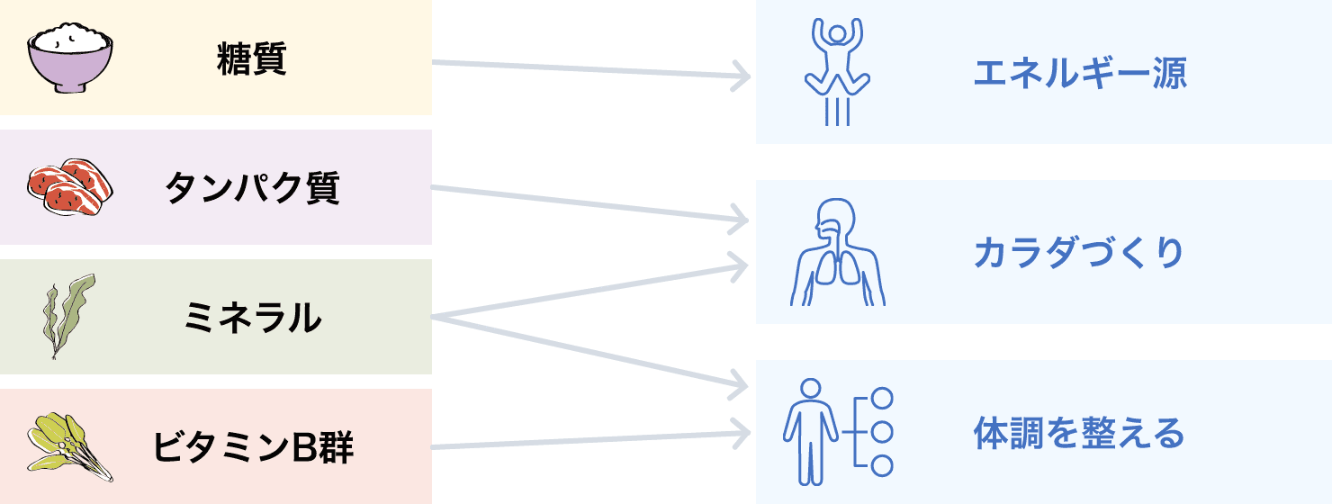 糖質 タンパク質 ミネラル ビタミンB群