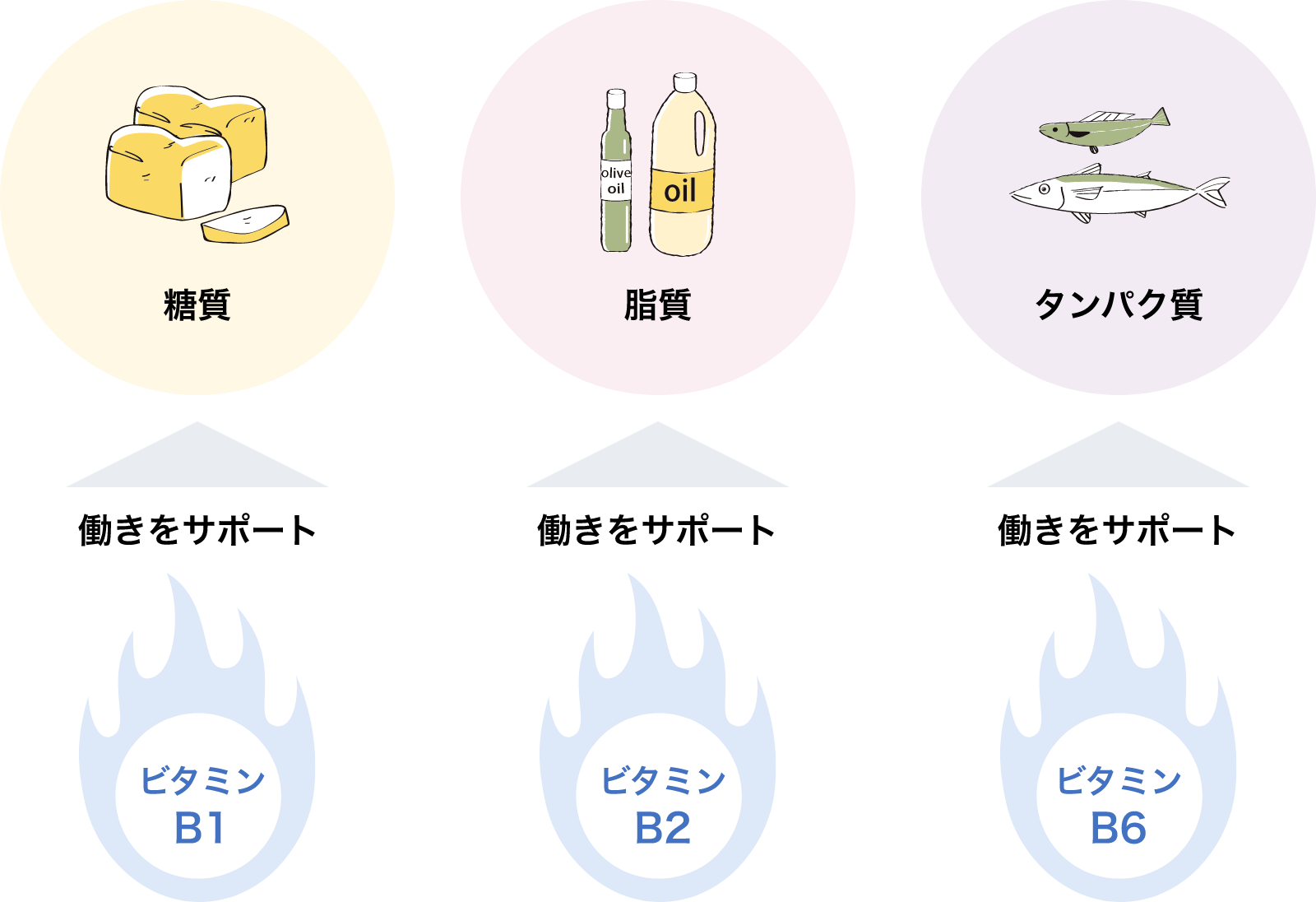 ビタミンB群はなぜ必要？