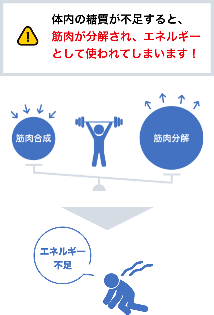 糖質はなぜ必要？