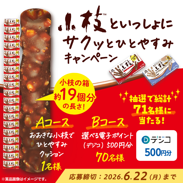 小枝ミルクのキャンペーンで【おおきな小枝クッション】や【デジコ500円分】が71名に当たる