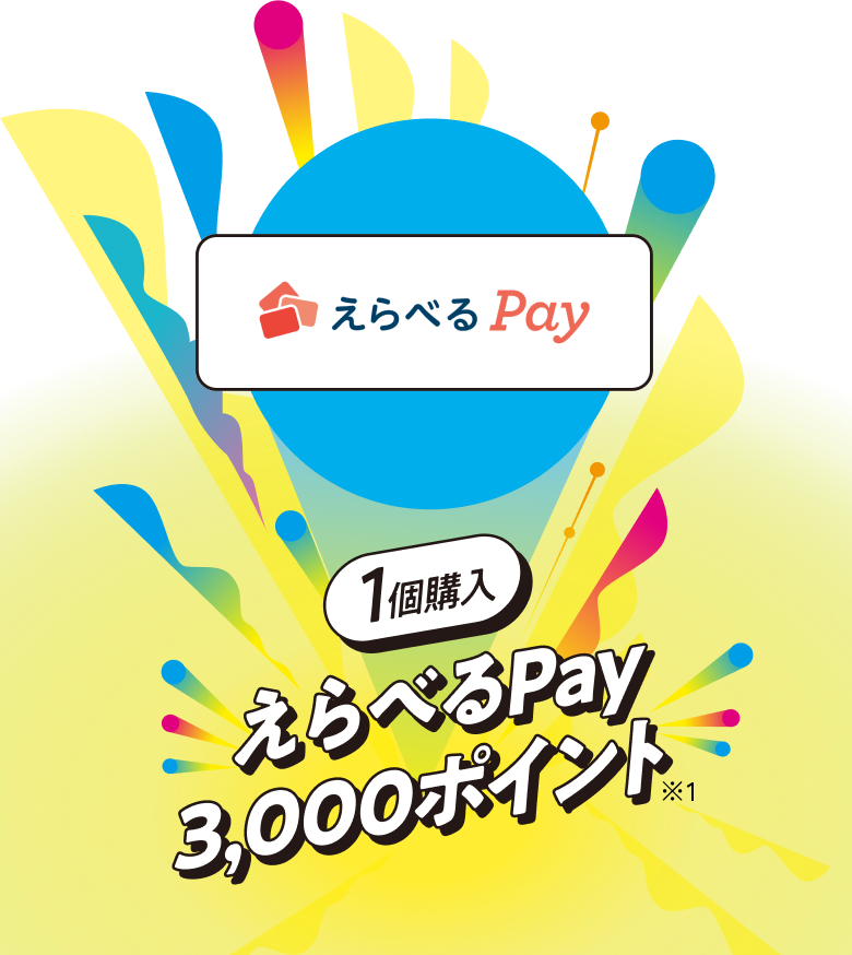 【1個購入】えらべるPay3,000ポイント