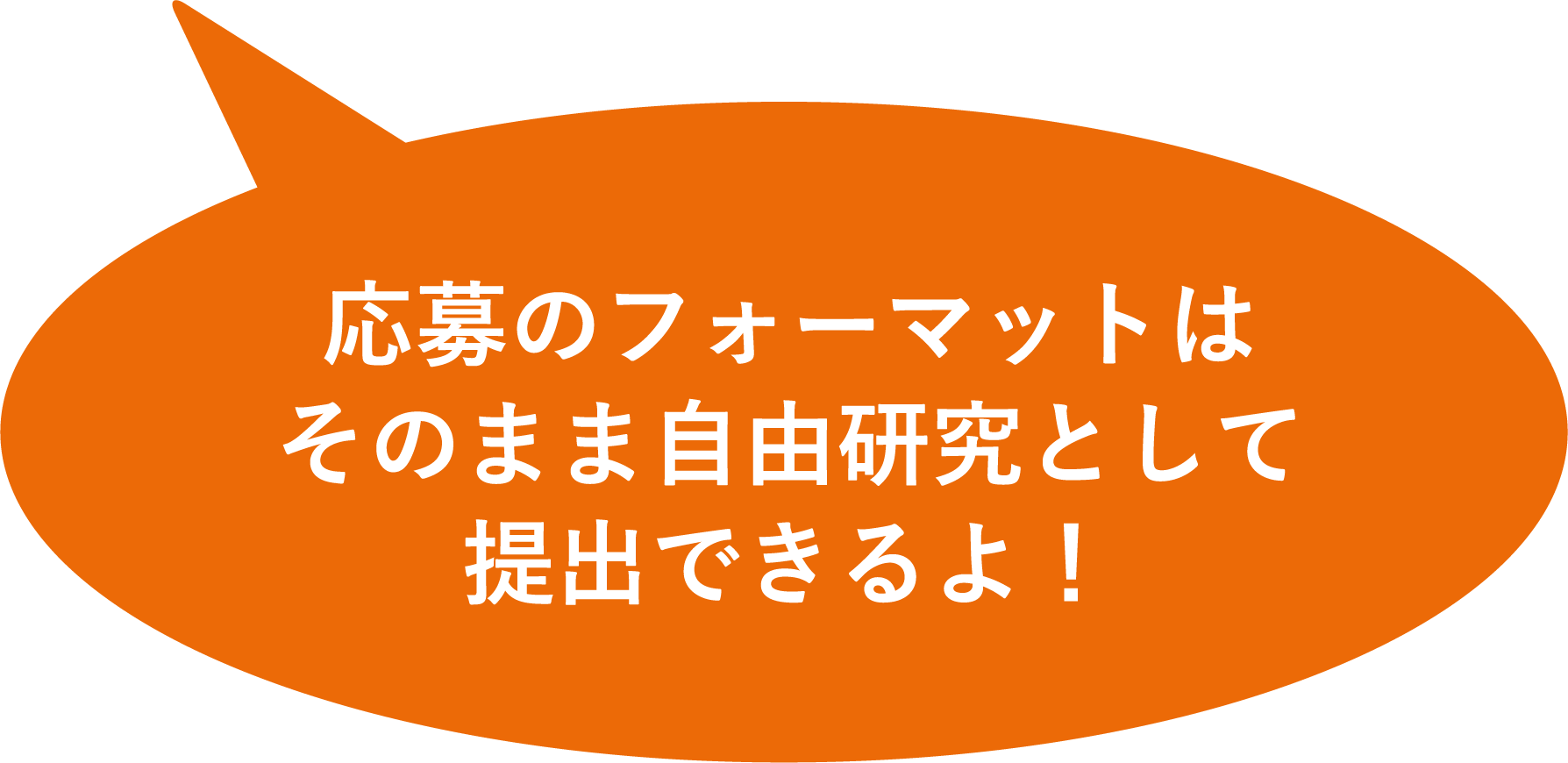 応募のフォーマットはそのまま自由研究として提出できるよ！