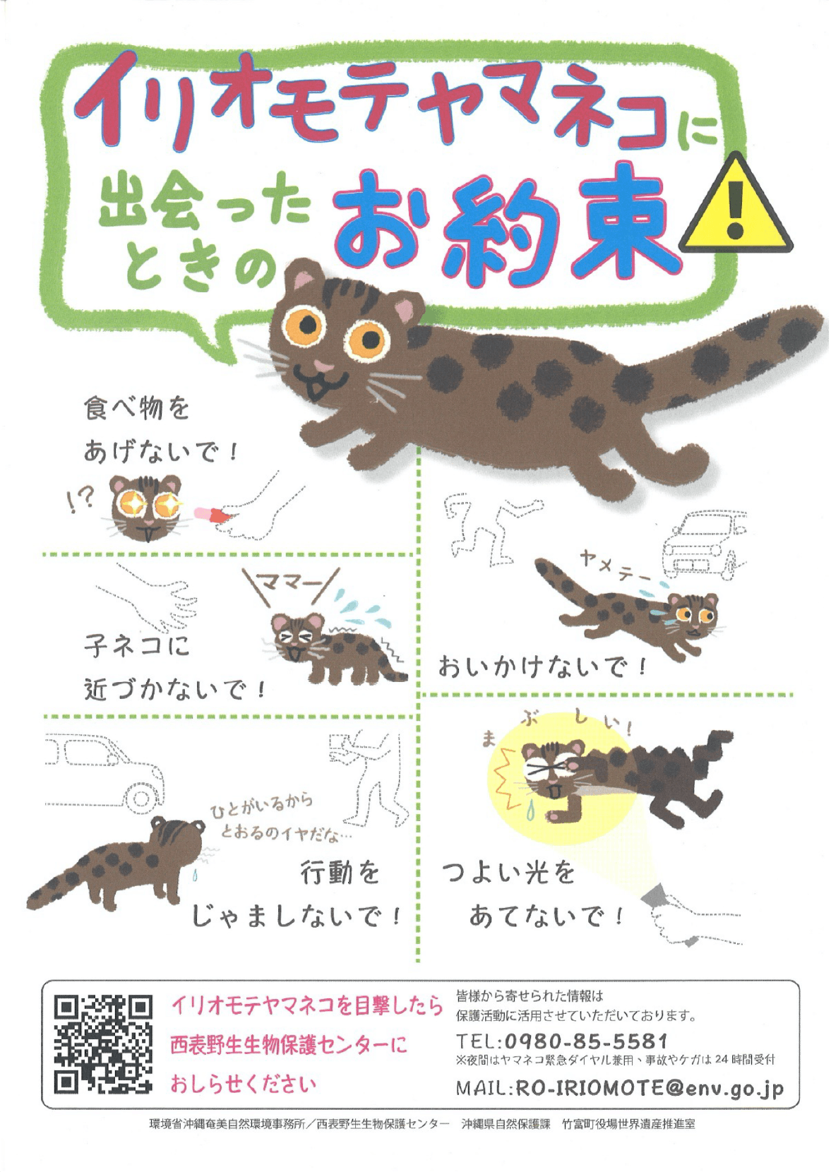 遭遇時の約束を守ることが、イリオモテヤマネコを守ることにつながる。