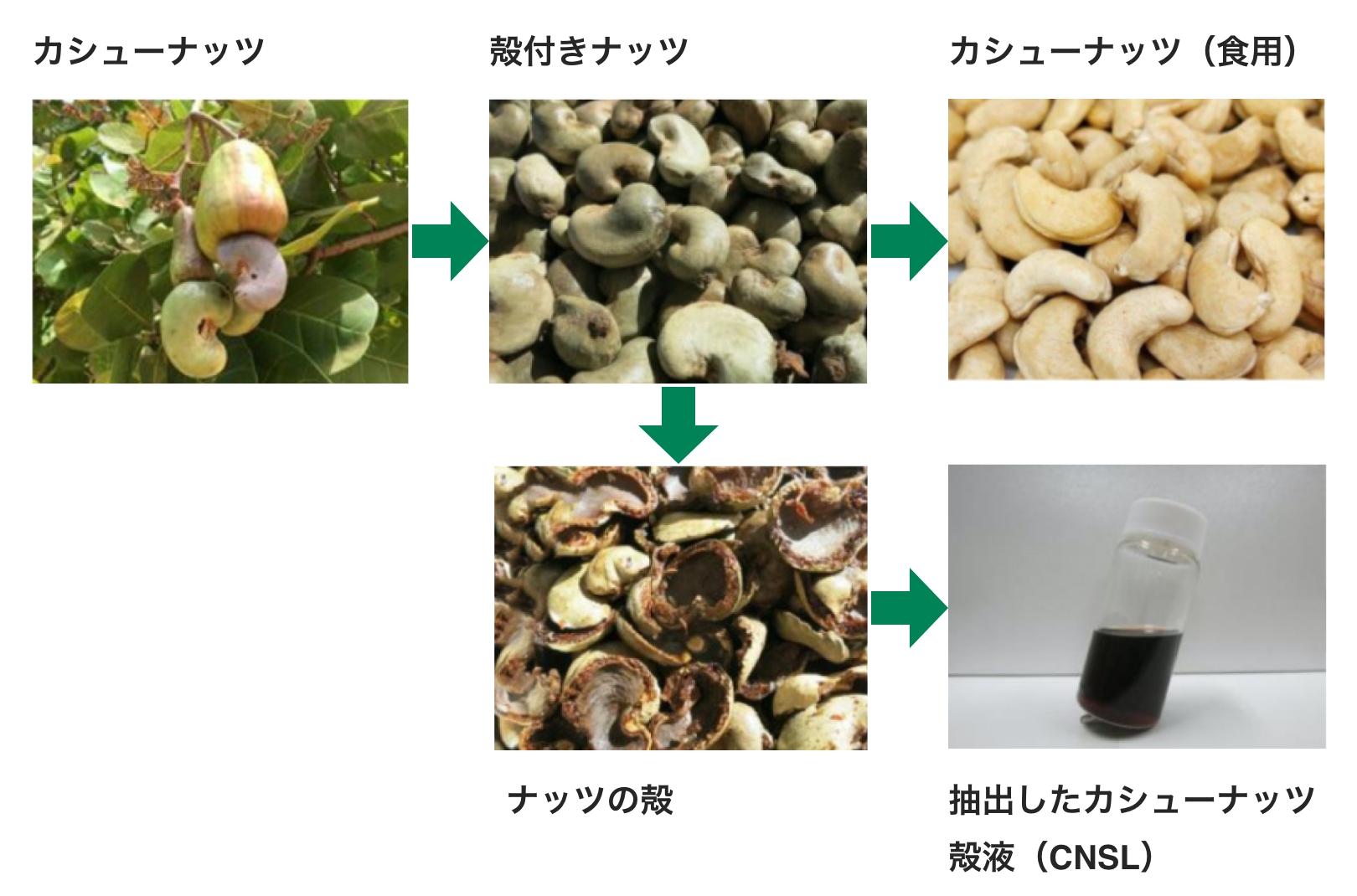 航空会社は、二酸化炭素の排出が少ない燃料の開発に取り組んでいる。