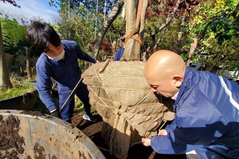 山下さんは、育てられなくなった植木を引き取り、新たに育ててくれる人にわたす活動をしている。