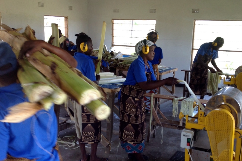 ザンビアの工場では25人が働いており、その家族ら約250人の生活を支えている。　PHOTO: One Planet Café